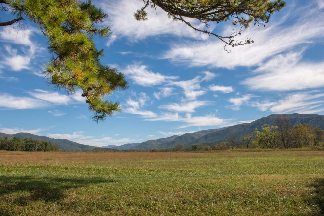 Peaceful Setting Cabin Villa Pigeon Forge Exterior foto